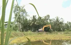 Phá rẫy mía, đào ao nuôi thủy sản