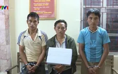 Bắt 3 đối tượng vận chuyển 10 bánh heroin