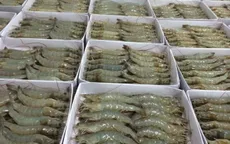Tôm Việt Nam vào Mỹ có thể được hưởng mức thuế 0%