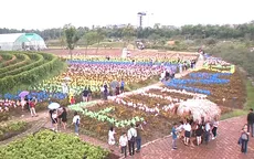 Hà Nội có công viên hoa hồng lớn nhất Việt Nam