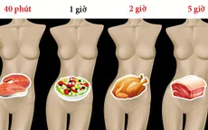 Mất bao lâu để tiêu hóa hết thực phẩm ăn hàng ngày?
