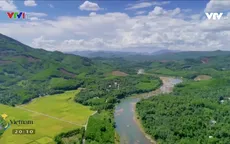 Những dòng sông chảy ngược ở Quảng Nam