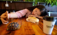 Đến quán cafe cảm giác mạnh: Chơi cùng rắn, bọ cạp và cự đà