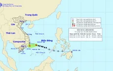 Bão số 1 suy yếu gây mưa cho các tỉnh, thành từ Đà Nẵng đến Bình Thuận
