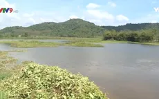 Người dân Đồng Nai bức xúc vì hậu quả khai thác than bùn kéo dài