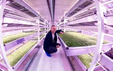 Growing Underground - Dự án cải tạo đường hầm bỏ không thành nông trại tại Anh