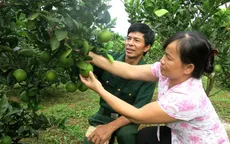 Kinh tế phi chính thức: Không chỉ gồm kinh tế ngầm