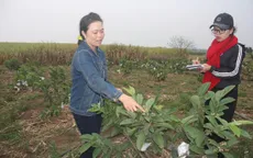 Người phụ nữ trẻ với ý chí giúp bà con làm giàu