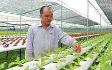 Bỏ phố về quê, đôi bạn trẻ trồng rau thủy canh mang lại hiệu quả cao