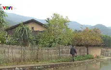 Xây dựng bản văn hóa người Tày ở Đồng Thanh, Bình Liêu