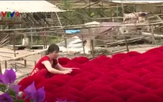 Làng nhang gần 100 tuổi ở TP.HCM vào vụ Tết