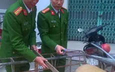 Bắt giữ xe vận chuyển trên 500kg nội tạng động vật bốc mùi hôi thối