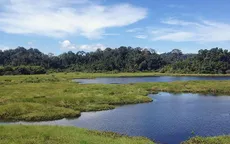 Khám phá đầm lầy nhiều cá sấu nhất Đông Nam Bộ
