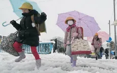 Tokyo (Nhật Bản) đón đợt tuyết rơi dày trong ngày 23 - 24/1