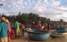 Chuyến biển đầu năm mới đầy niềm vui của ngư dân Phú Yên