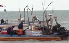 Nhiều ngư dân chủ quan mùa mưa bão