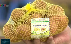 Triển khai gắn nhãn cho khoai tây Đà Lạt