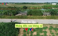Những bộ phim tài liệu lên sóng VTV1 dịp Tết Nguyên đán Kỷ Hợi