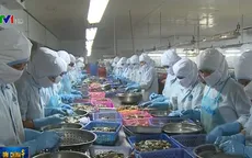 Việt Nam cần tận dụng mọi cơ hội từ các FTA