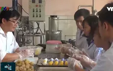 Độc đáo bánh từ nguyên liệu khoai lang