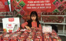Quả dâu tây Sơn La được giới thiệu tại Hà Nội