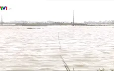 Bình Định khắc phục tình trạng lúa bị ngập úng