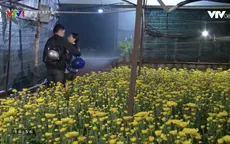 "Hoa cúc vàng trong bão" nối sóng "Cung đường tội lỗi" từ 5/1 trên VTV3