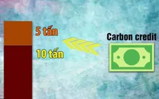 Việt Nam hướng tới xây dựng thị trường carbon vào năm 2020