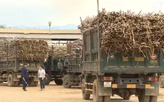 Sơn La tăng cường xử lý xe mía chở quá khổ, quá tải