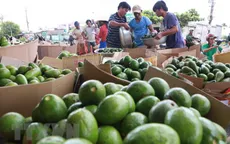 Lần đầu tiên, kim ngạch xuất khẩu nông sản đạt kỷ lục trên 40 tỷ USD