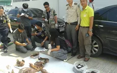 Thái Lan bắt 2 người Việt nghi săn trộm hổ