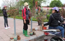 Ngày 25/1, thời tiết khá đẹp ở miền Trung
