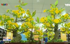 Chàng trai "biến hóa" vảy cá thành hoa mai