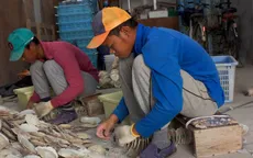 Kiểm tra kỹ năng lao động nước ngoài tới Nhật Bản