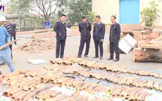 Thu giữ lượng lớn vảy tê tê và ngà voi nhập lậu