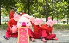 Độc đáo màn múa Hợi mừng năm Kỷ Hợi 2019