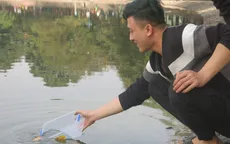 Người dân thả cá chép văn minh, Táo vui vẻ về trời