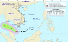 Bão số 1 cách mũi Cà Mau 250km về phía Nam