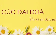 Lạc quan như bông cúc đại đoá