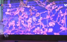 Chiêm ngưỡng thế giới tranh của danh họa Vincent Van Gogh