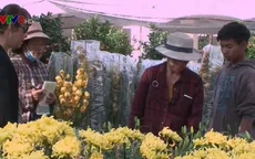 Nhiều hàng hóa phục vụ Tết Việt tại Vientiane, Lào