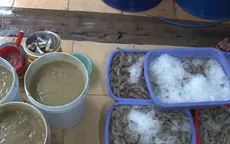 Bắt quả tang cơ sở bơm tạp chất vào tôm nguyên liệu