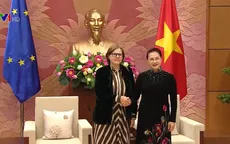 “Nghị viện châu Âu là trụ cột quan trọng trong quan hệ hợp tác toàn diện Việt Nam - EU”