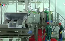 Đầu mối nông sản thế giới - Đích đến không còn xa của nông nghiệp Việt Nam