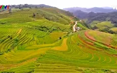 Mê mẩn vẻ đẹp ruộng bậc thang Mù Cang Chải