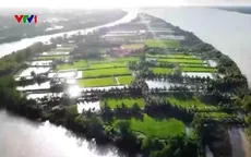 Cách sống thuận thiên ở Cồn Chim