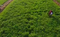 15 năm đổi mới, phát triển và nâng cao hiệu quả kinh tế tập thể