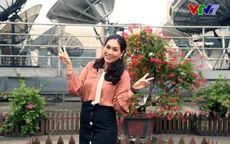 Không thì thầm: Cùng chị Nguyệt "thảo mai" tìm hiểu từ A-Z về kinh nguyệt