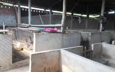 Chuyển đổi mô hình sản xuất tại thủ phủ chăn nuôi lợn Đồng Nai