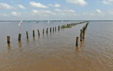 Hàng trăm cọc vô chủ giăng bẫy tàu ghe ở Vĩnh Long
